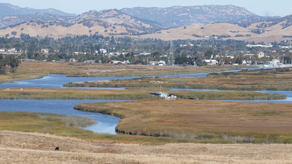 Arcadia Home Care of Vacaville provides assistance to families in Solano, Napa and Yolo counties, from the Delta waterfronts to the inland hills to the Napa wine region, helping our older adults to safely age in place.

